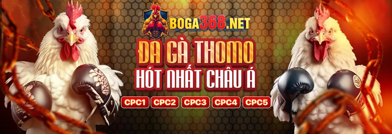 Hình ảnh minh họa chính sách Tuân thủ GDPR của Bibet