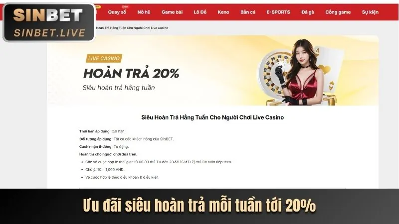 Đa dạng trò chơi cá cược tại bibet