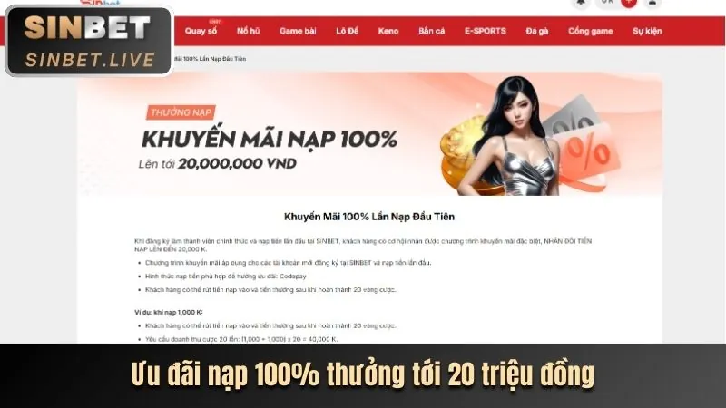 Hoàn trả hàng ngày tại Bibet